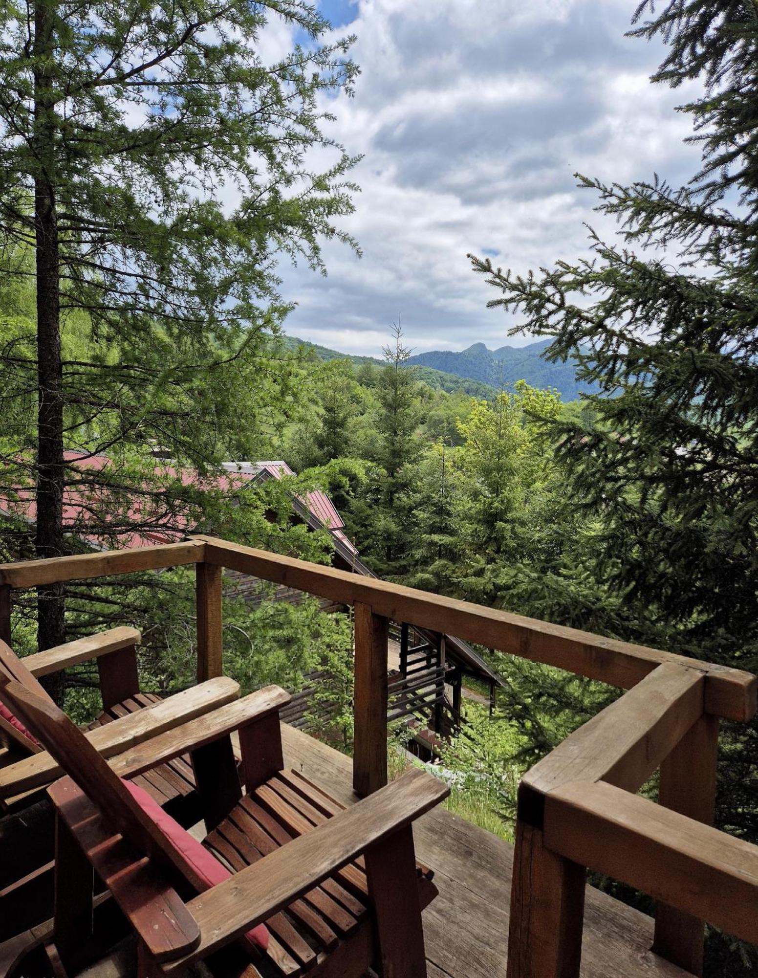 Art Apartments Minic Kolašin Εξωτερικό φωτογραφία