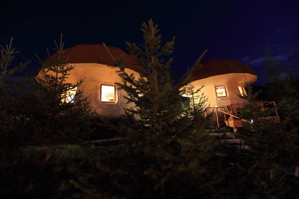 Art Apartments Minic Kolašin Δωμάτιο φωτογραφία